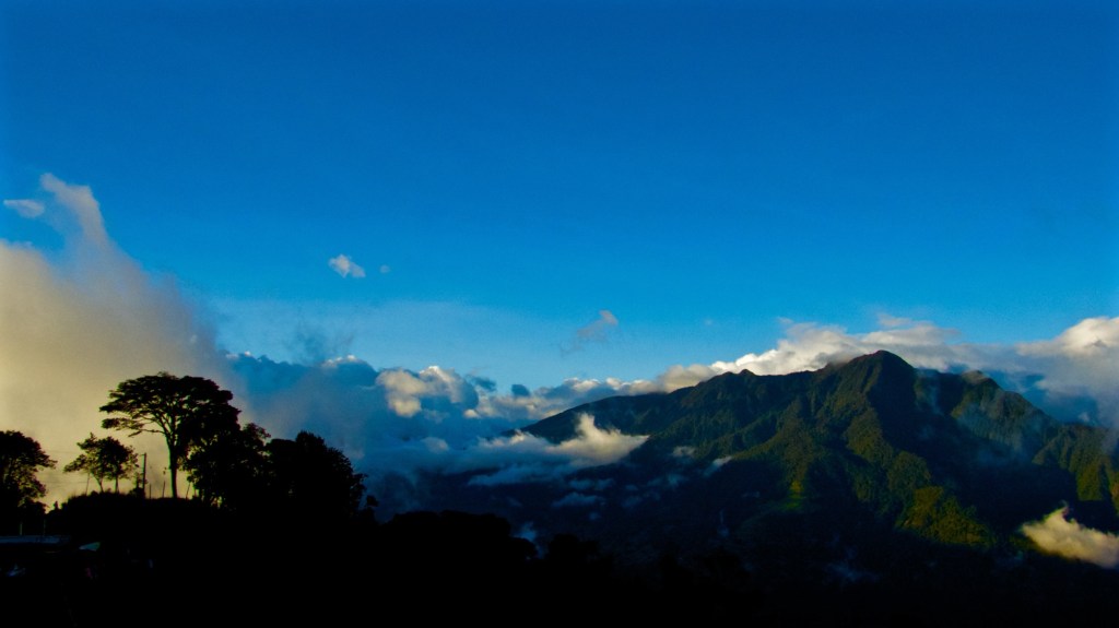 Casa del árbol,&nbsp;Baños