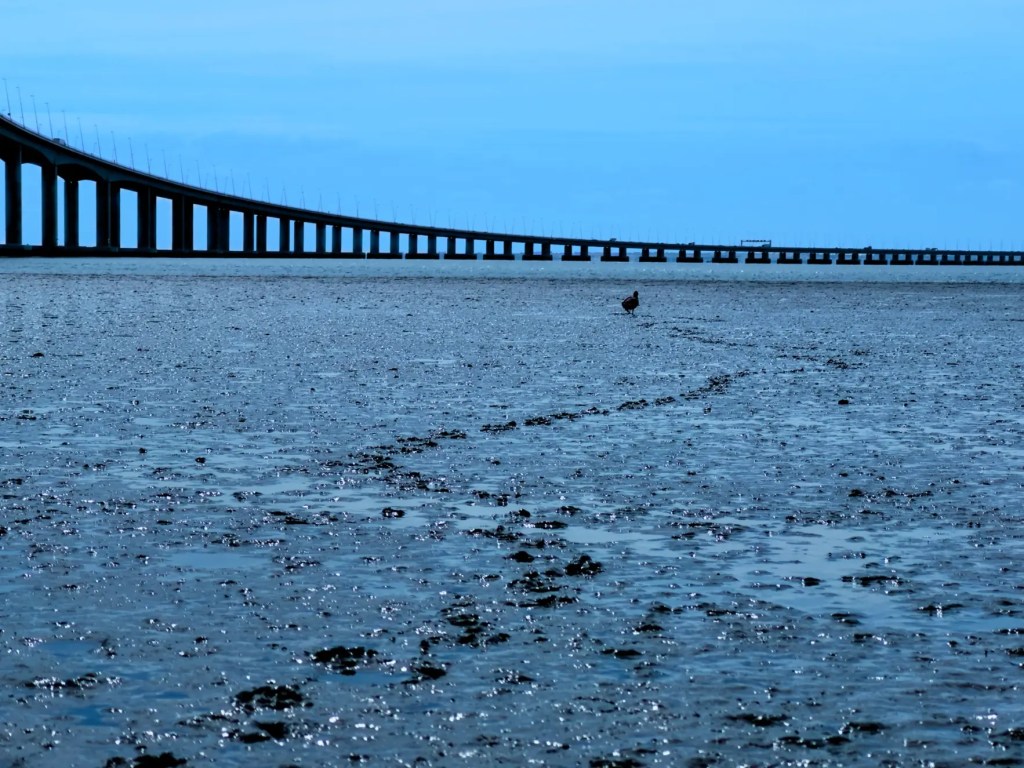 Tagus River and Vasco de Gama&nbsp;Bridge
