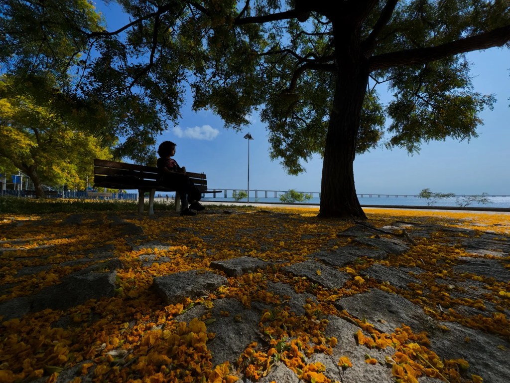 Wife at Tejo&nbsp;Park